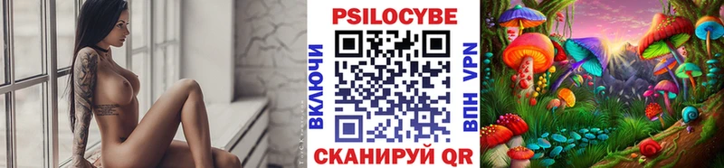 Галлюциногенные грибы Cubensis  купить   Светогорск 